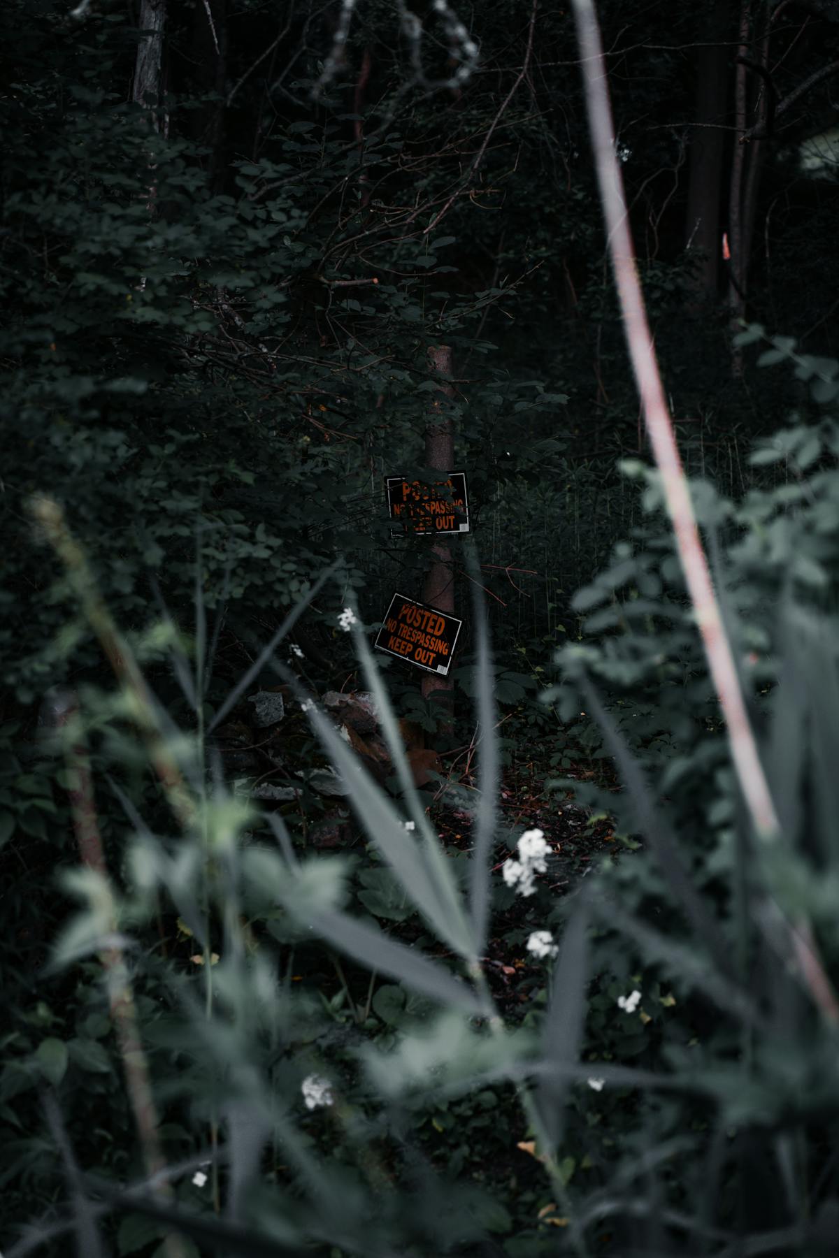 追加費用の落とし穴