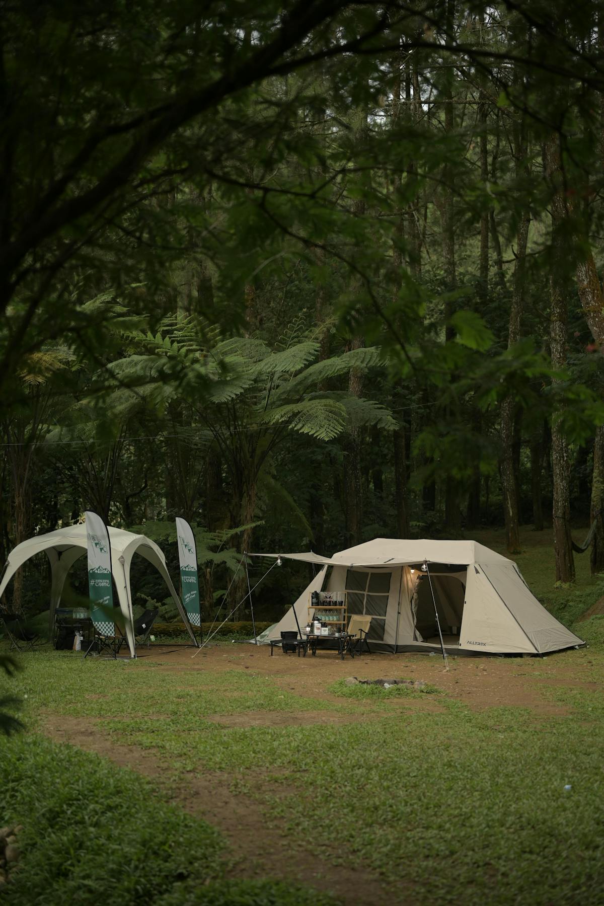 裁判所への提訴